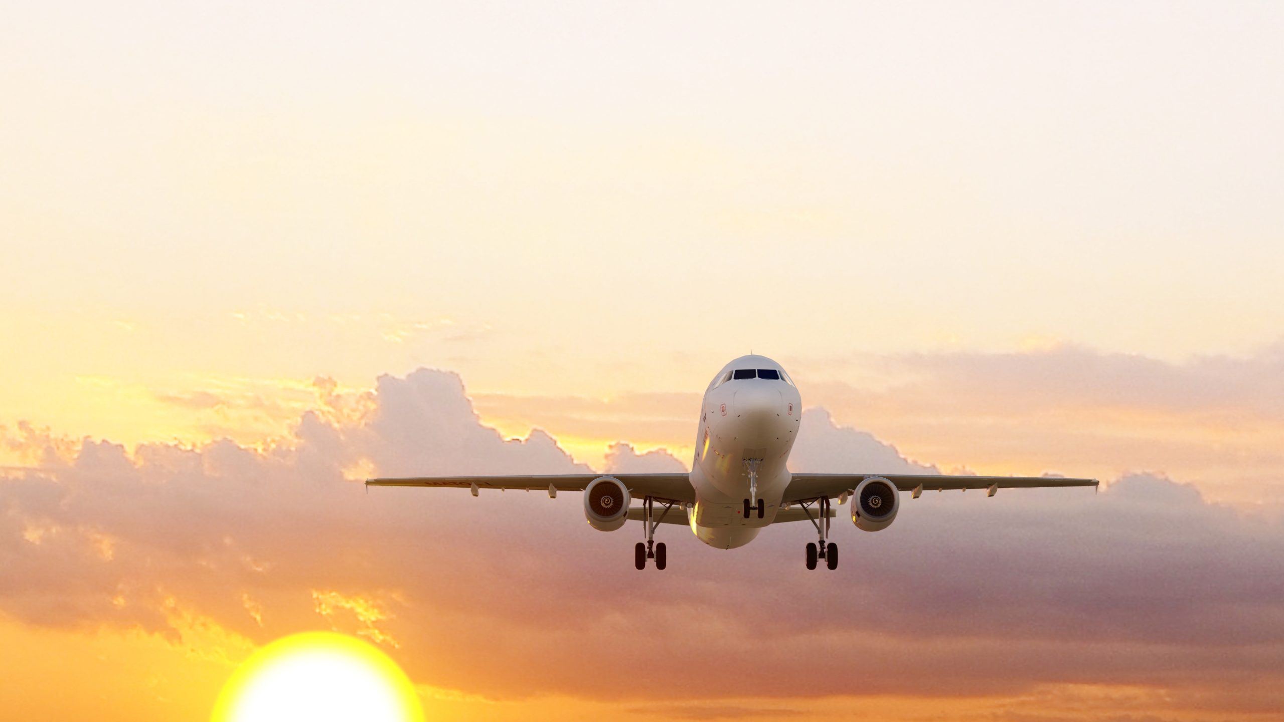 Cyber Security in Aviation: Cyber security culture